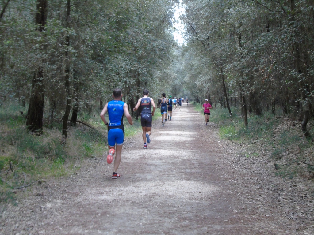La mezza maratona nel bosco all'Irondelta di Primavera 2016